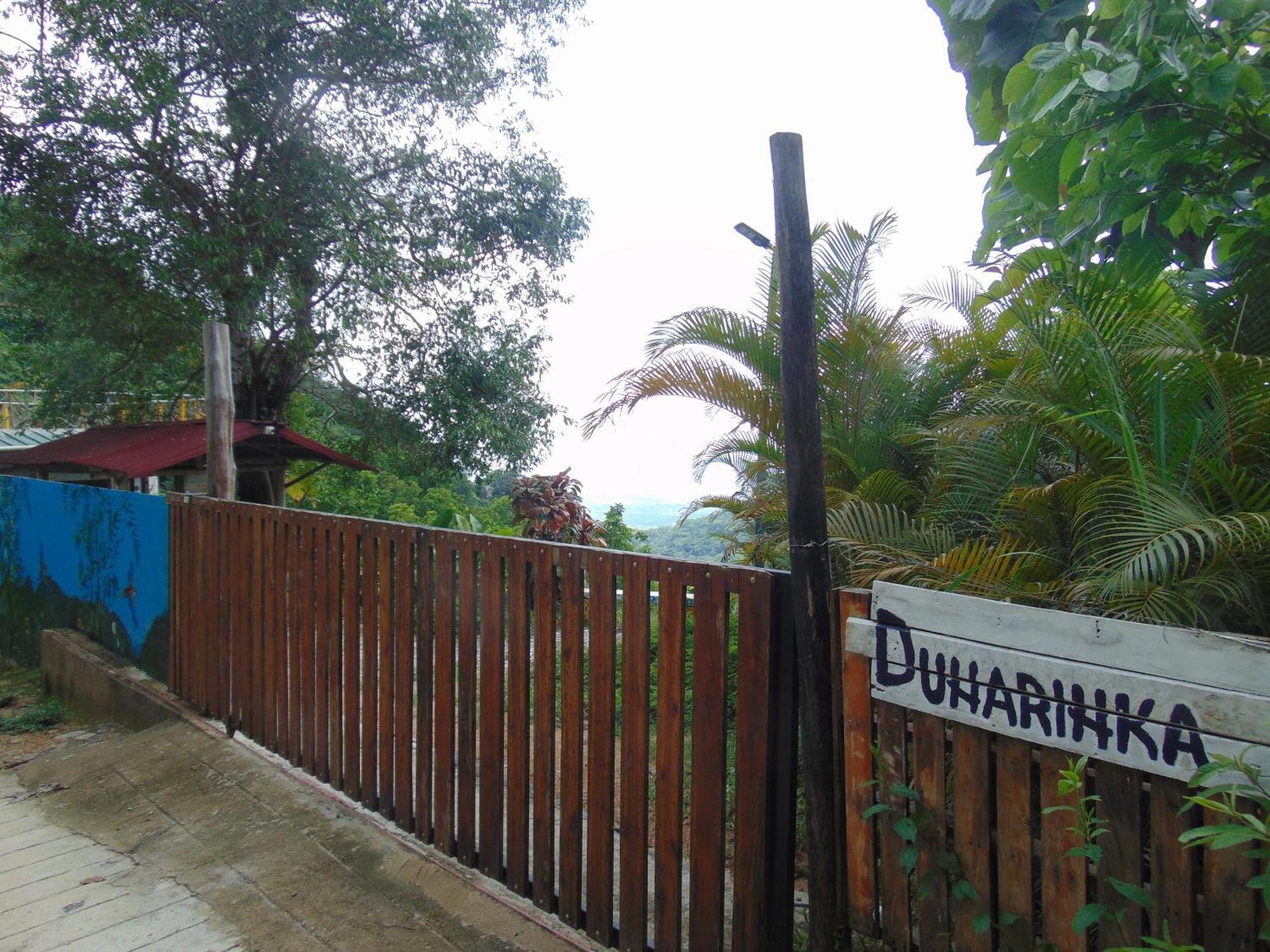 Dunarinka Minca Exterior foto