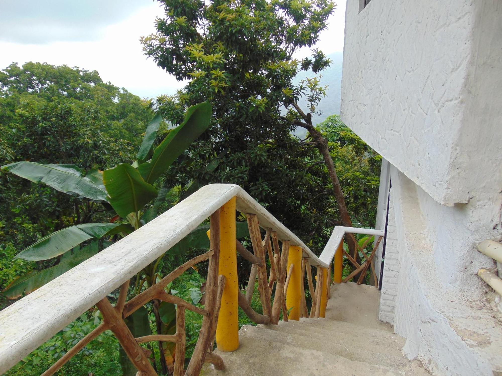 Dunarinka Minca Exterior foto