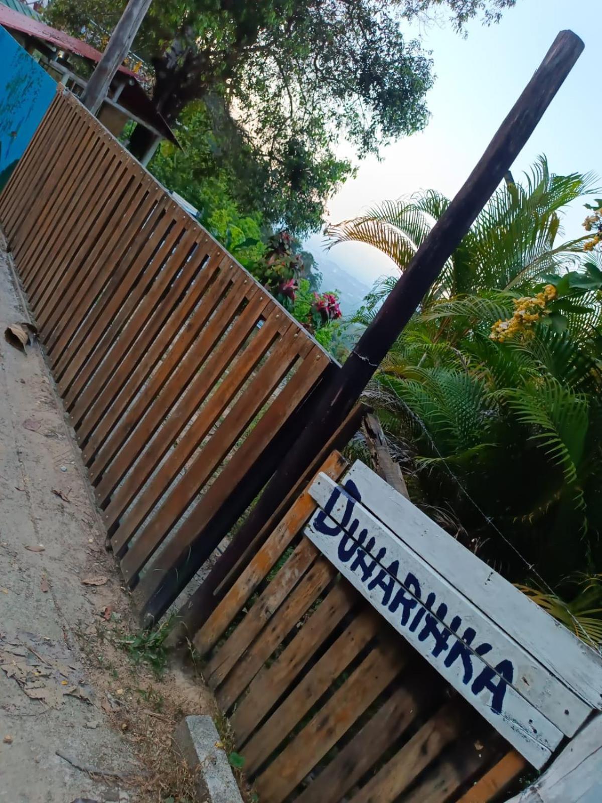Dunarinka Minca Exterior foto